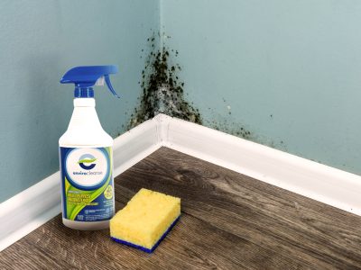 Spray bottle and sponge near black mould wall. House cleaning concept